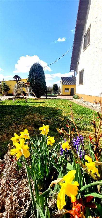 Ferienwohnung Landidylle Nassheck Dieblich Exterior foto